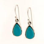 Sajra  Earrings