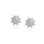 Trivo  Earrings
