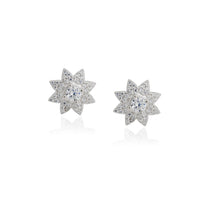 Trivo  Earrings
