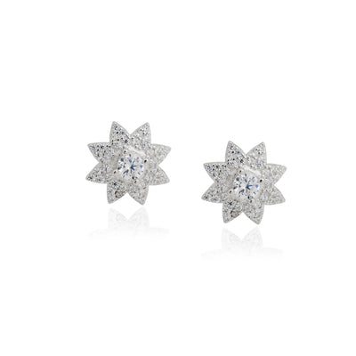 Trivo  Earrings