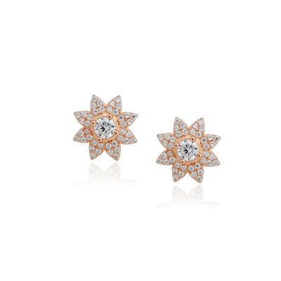 Varni  Earrings
