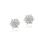 Rohni  Earrings