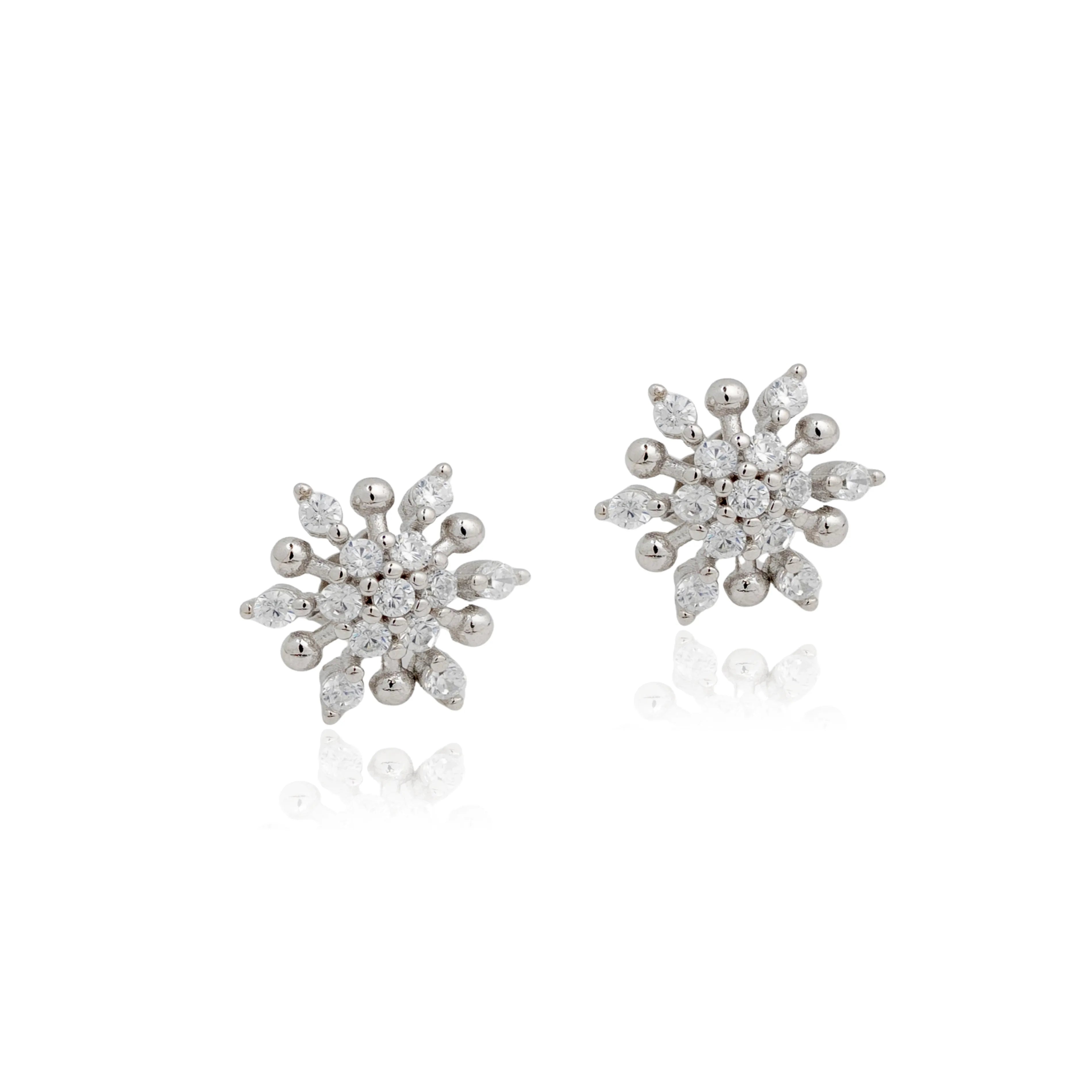 Rohni  Earrings