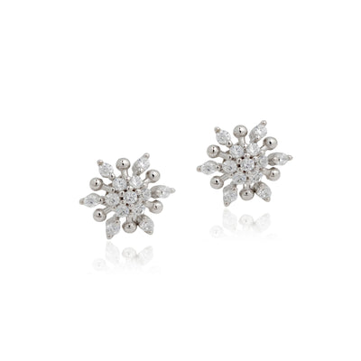 Rohni  Earrings