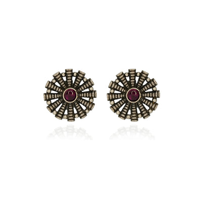 Pavshree  Earrings