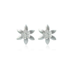 Sharayu  Earrings