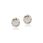 Sharvangi  Earrings