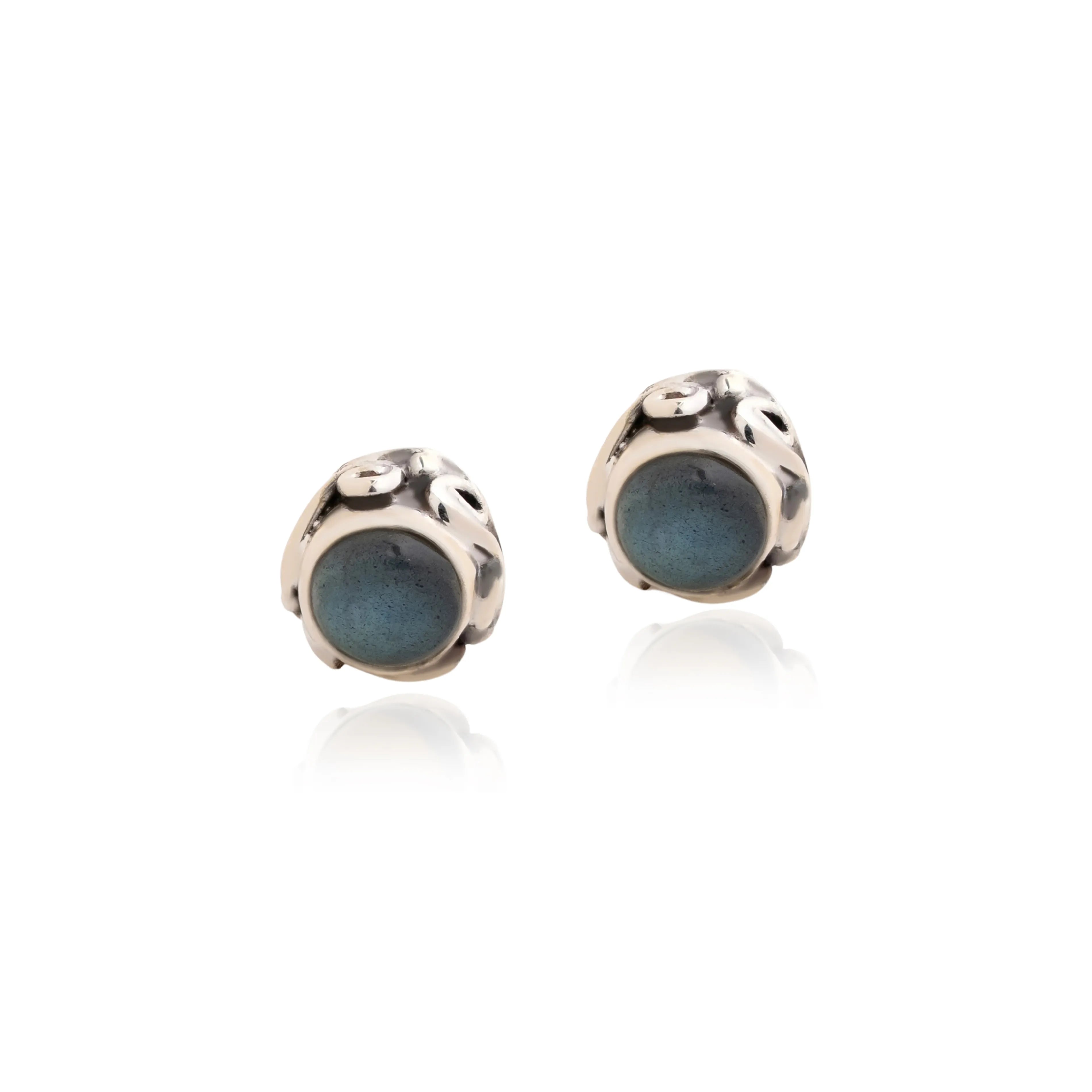 Sharvangi  Earrings