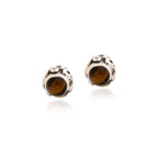 Sharvangi  Earrings