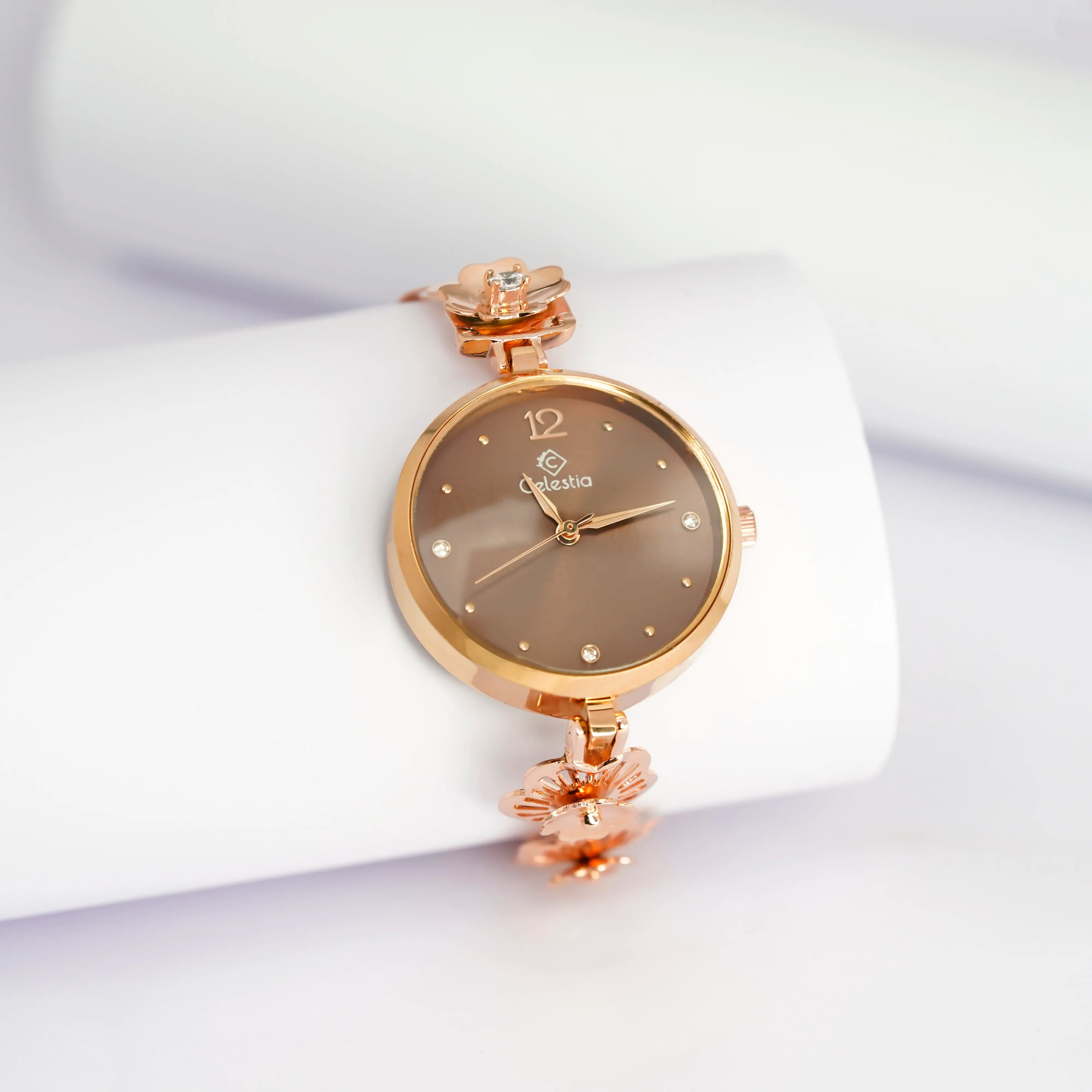 Triveni Silver Watch