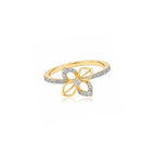 Tavi Ring